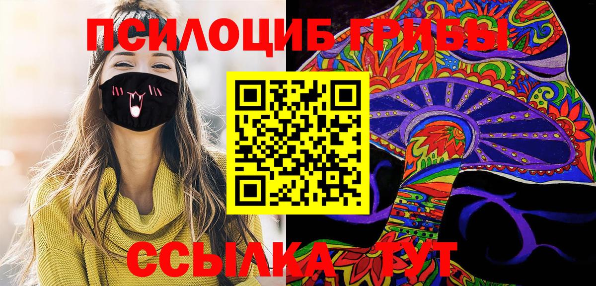 Зерноград  купить   Вход с VPN  Псилоцибиновые грибы Psilocybe 